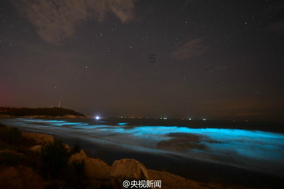 健美大赛