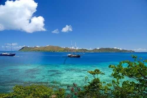 唐先振受邀出席同根同梦·2024全球华人春节联欢晚会