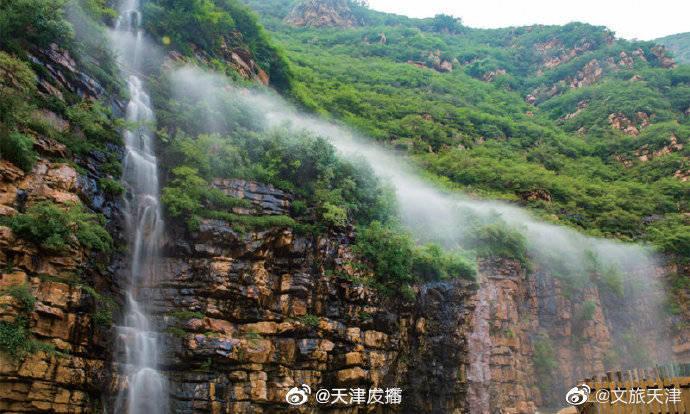 矿工打地鼠